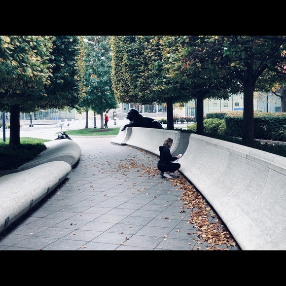 Meet your Posher, Alexis - Picture 1 of 1